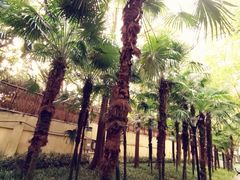 -徐家汇源景区-衡山公园