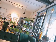 -之悦咖啡馆(新星宇·之洲店)
