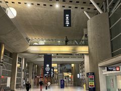 -戴高乐机场火车站