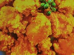 -小满手工粉(上海月星环球港店)