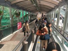 -中环半山扶手电梯