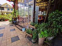 -先机泉水鸡汤(南山老君洞店)