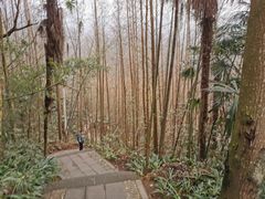 -凤栖山