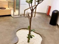 -喜茶(东莞汇一城店)