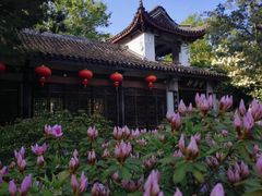 -惠山古镇·寄畅园