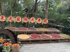 -天目湖山水园