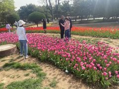 -石家庄市植物园