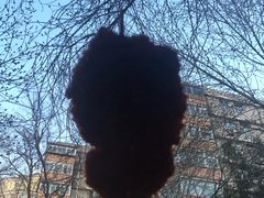 -庞记炸串