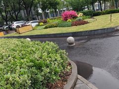 -上海交通大学（闵行校区）-李政道图书馆
