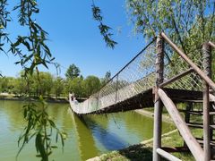 -杨柳青庄园