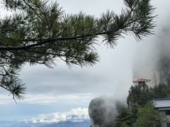 -秦岭天竺山生态文化旅游景区