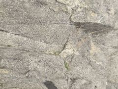 -烟台山景区