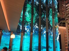 -桂满陇·海市蜃楼·黑金(国金店)