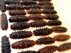 -宫品海参专卖店(黄浦老西门店)