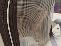 -FAELING PETS美天灵宠物(富力广场店)