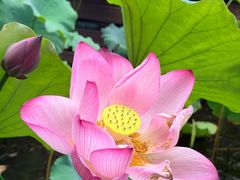 -醉香隆.山水庭院.湖北菜(东湖店)