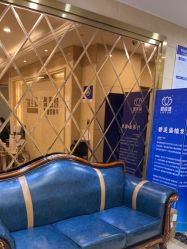 -碧莲盛·不剃发植发