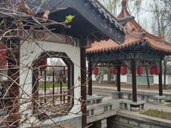 -沈阳植物园