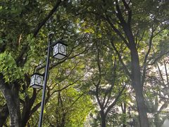 -黄埔古港