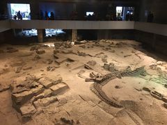 -自贡恐龙博物馆