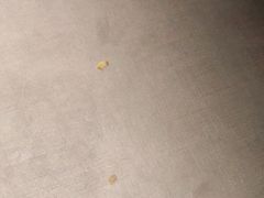 -嘉喜来比萨(罗马花园店)