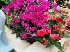 -利顺德大饭店·维多利亚花园(小白楼店)