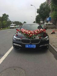 点击看大图 -蚂蚁婚车