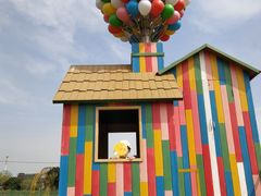 -苏州太湖西山岛开心农场