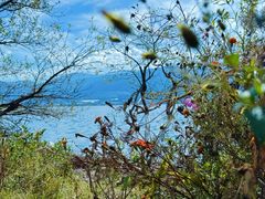 -西昌邛海湿地