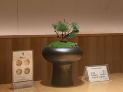 -厦门源昌凯宾斯基大酒店-隠れ鉄板焼