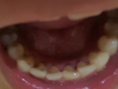 -泰康拜博口腔(世博园乐尔店)