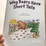 自以为聪明的熊被狐狸戏弄了