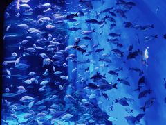 -成都浩海立方海洋公园