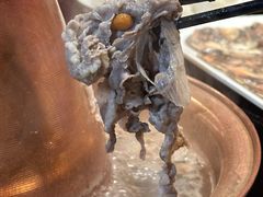 -前门杨记·铜锅涮肉(王府井·故宫店)