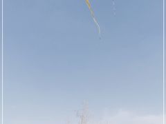 -绿堤公园