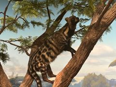 -陕西自然博物馆