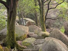 -火炉山森林公园