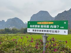 -明仕田园