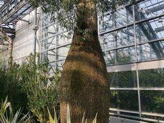 -南山植物园