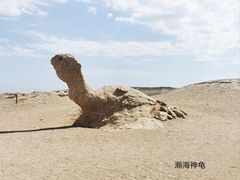 -哈密雅丹大海道景区
