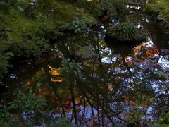 -常寂光寺