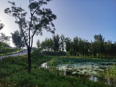 -东郊湿地公园