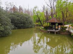 -黄兴公园
