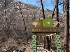 -大岭沟猕猴桃谷风景区