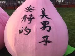-田园东方蜜桃村的田野营地
