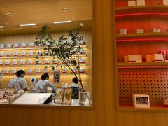 -代数学家algebraist(苏州中心店)