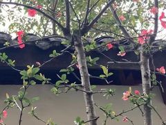 -重庆彩云湖湿地公园