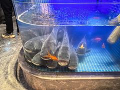 -味钱塘·钱塘浙宴(宋城之江银泰店)