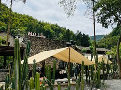 -MOJ coffee(瓯海泽雅水碓坑店)