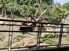 -宁波野生动物园